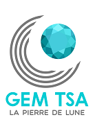 Logo GEM tsa